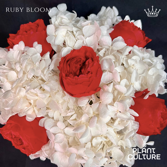 Ruby Bloom Preserved Dried Flower Arrangement