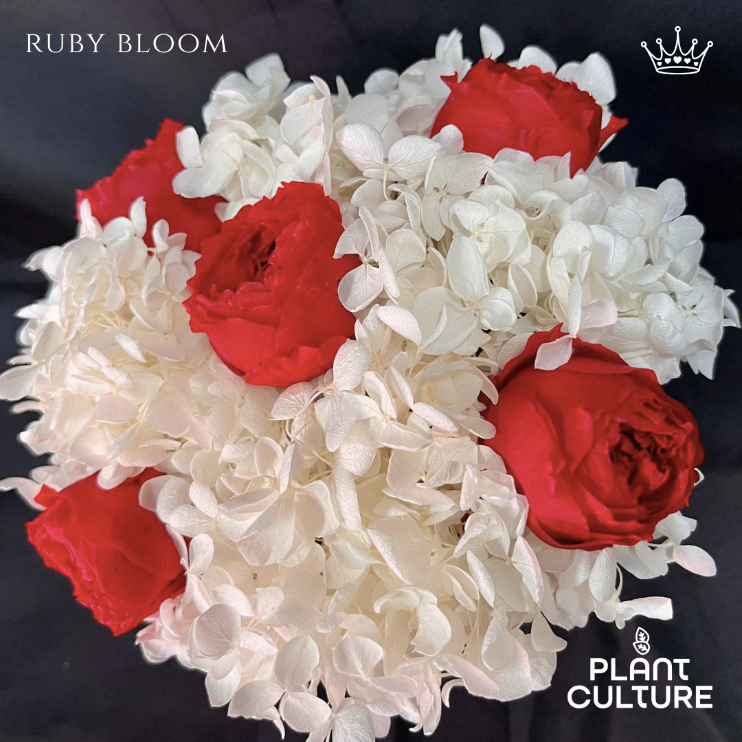 Ruby Bloom Preserved Dried Flower Arrangement