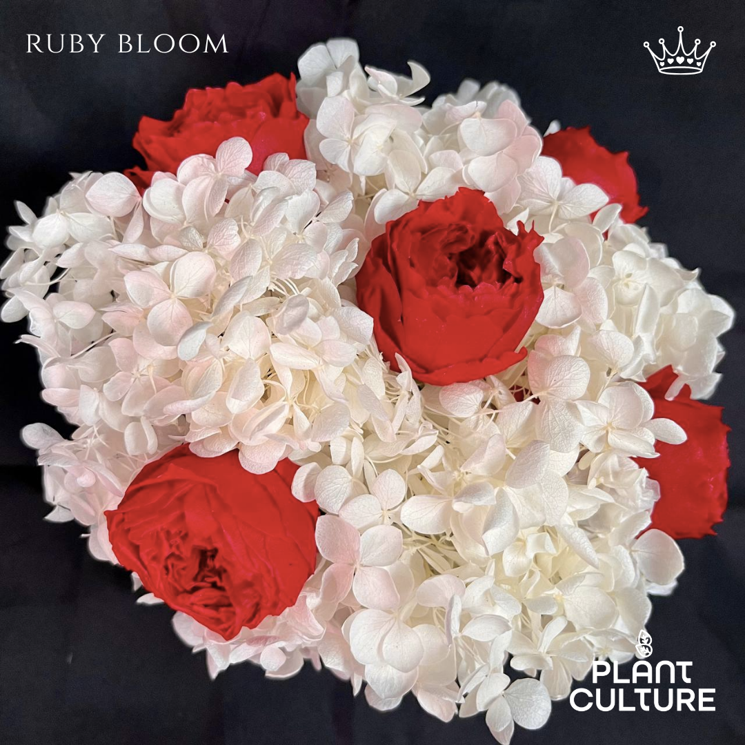 Ruby Bloom Preserved Dried Flower Arrangement