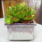 Square Planters Pots