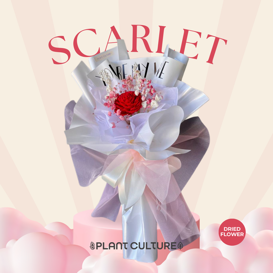 Scarlet Preserved Dried Flower Arrangement