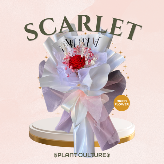 Mother's Day Dried Preserved Flower | Scarlet