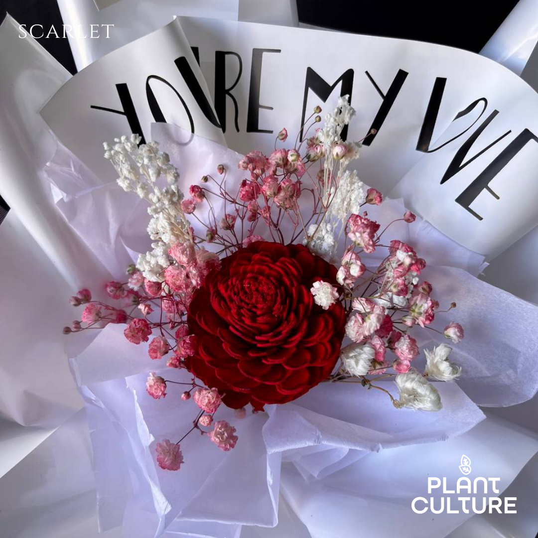 Mother's Day Dried Preserved Flower | Scarlet