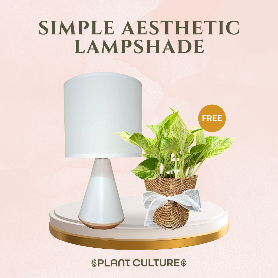 Gift Bundle | Marble Queen + Lamps