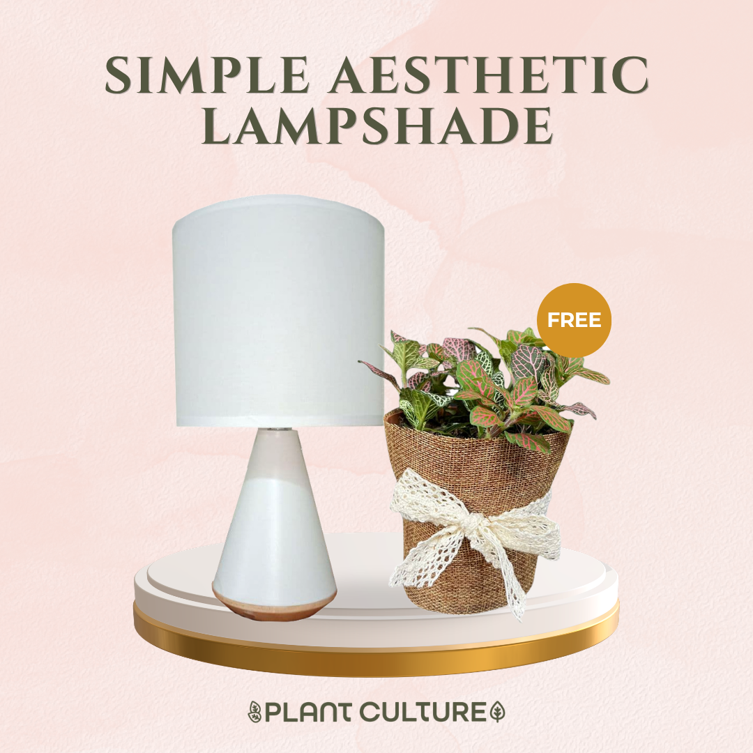 Gift Bundle | Fittonia + Lamps