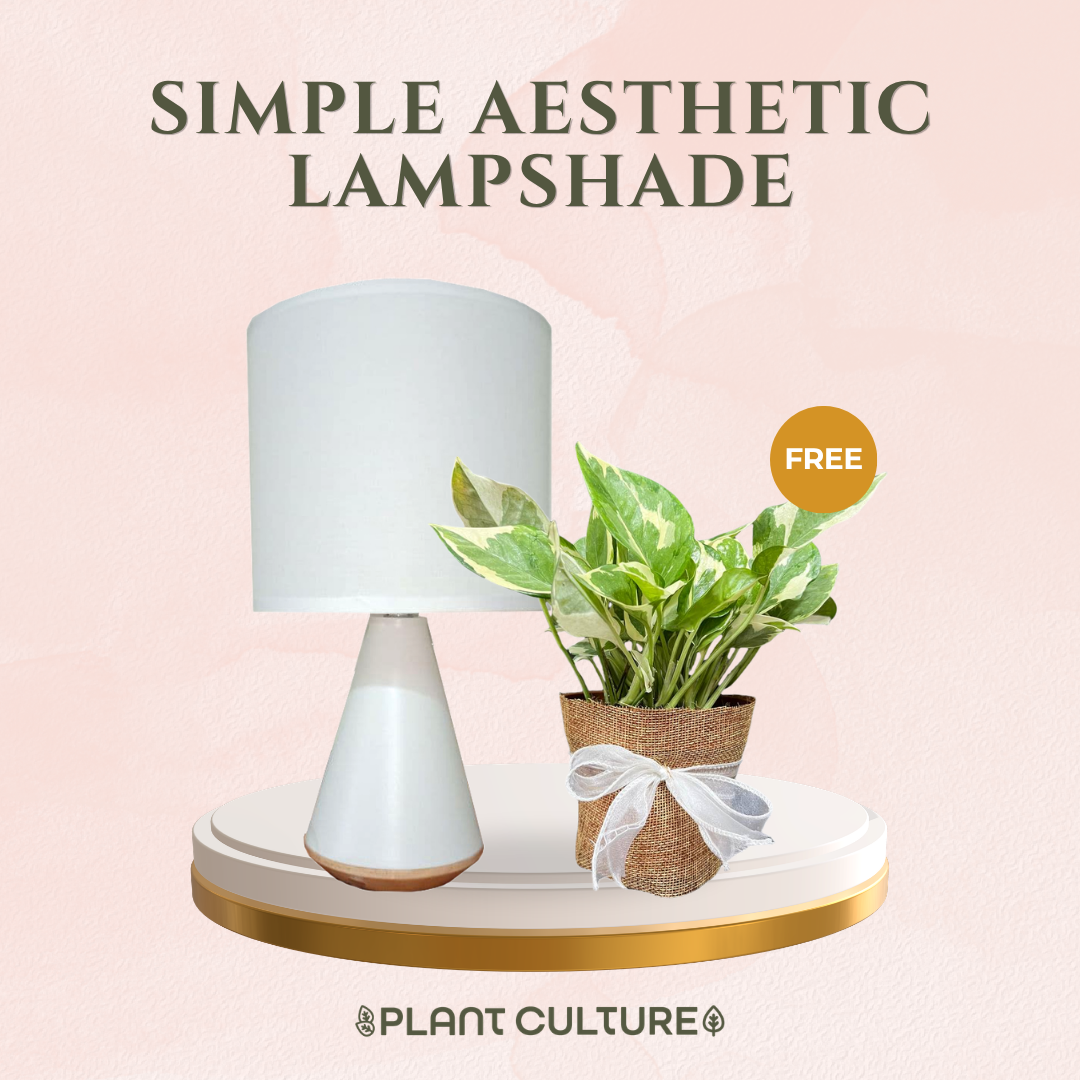 Gift Bundle | NJoy Pothos + Lamps