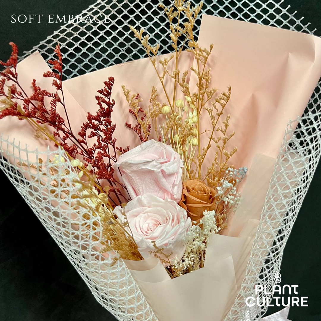 Dried Preserved Flower | Soft Embrace