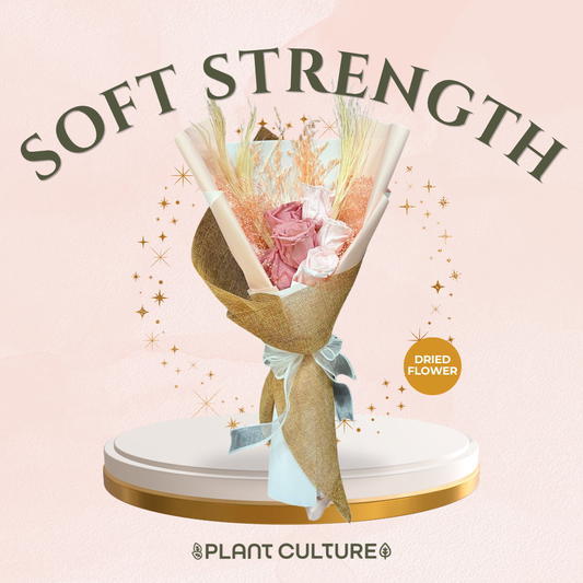 Mother's Day Dried Preserved Flower | Soft Strength