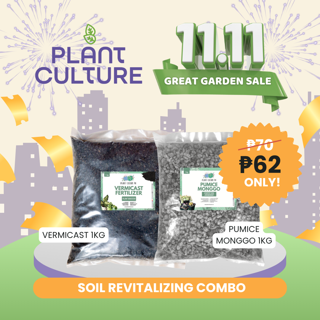 Bundle - Soil Revitalizing Combo | 1kg Pumice Monggo + 1kg Vermicast