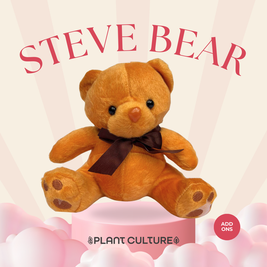 Steve Bear Teddy Bear