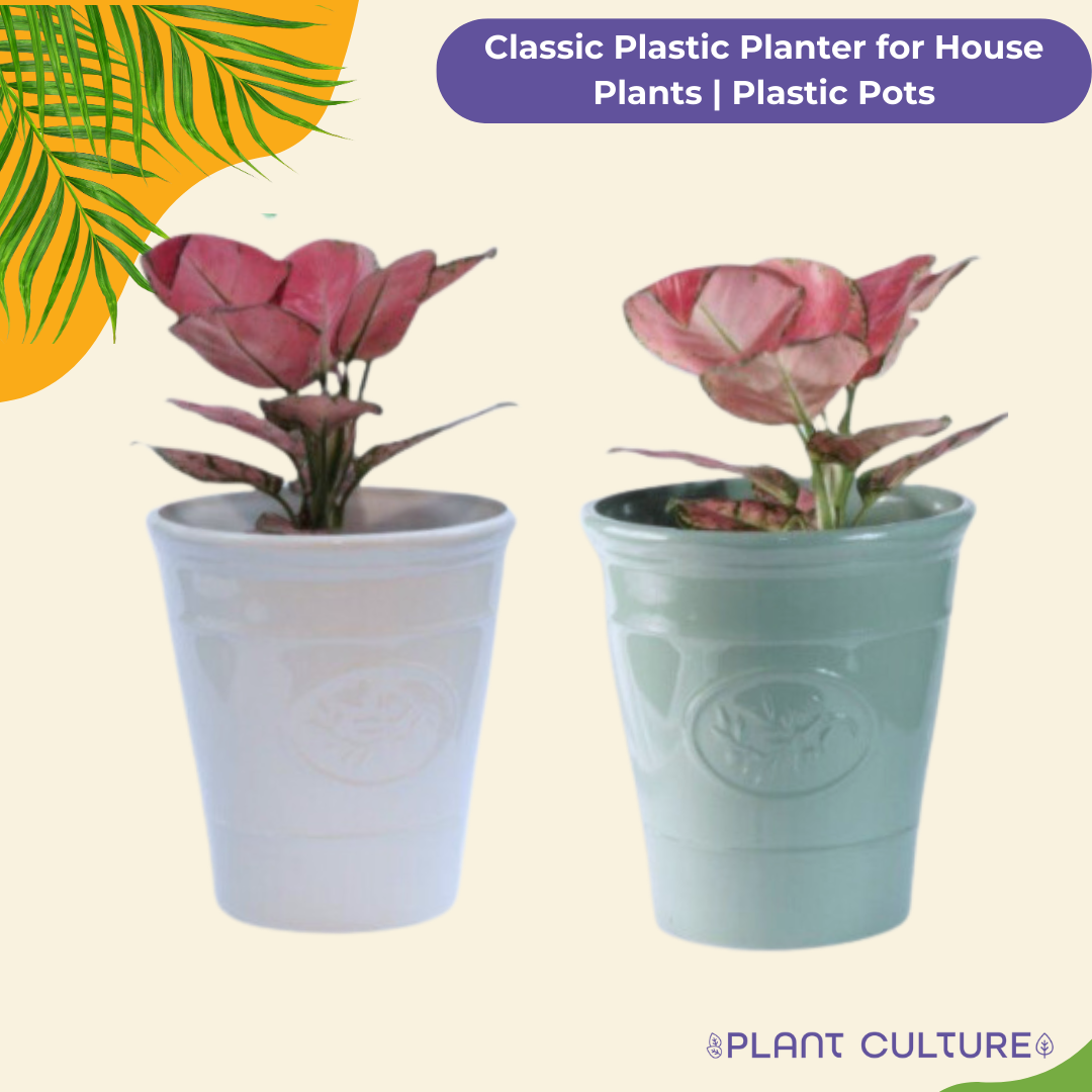 Classic Plastic Planter for House Plants | Plastic Pots