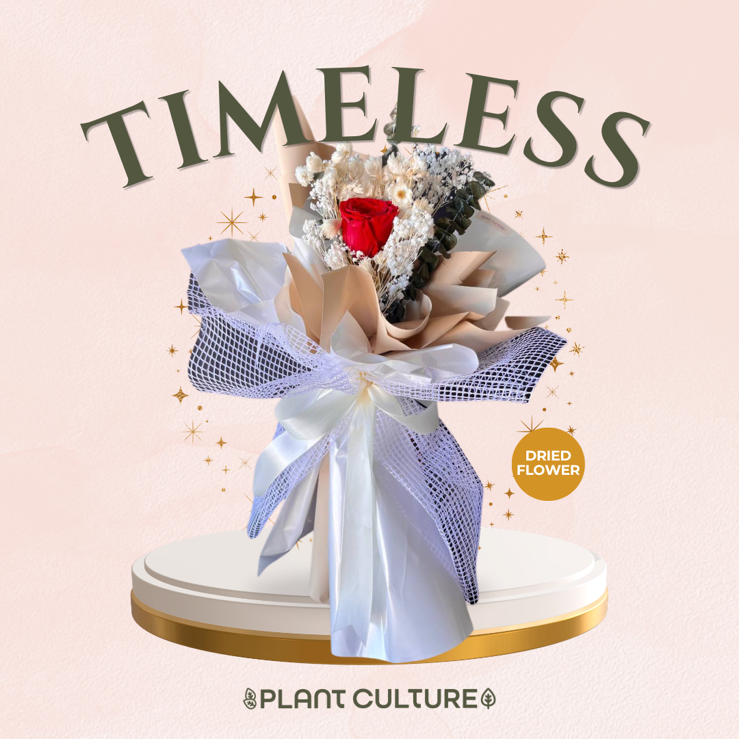 Mother's Day Dried Preserved Flower | Timeless