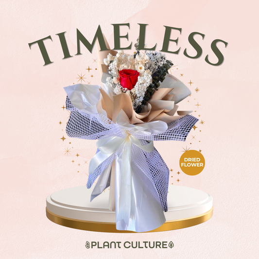 Mother's Day Dried Preserved Flower | Timeless