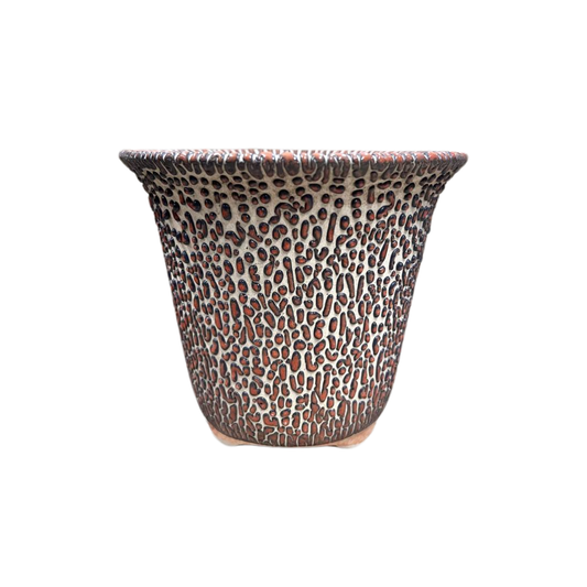 Trumpet Mouth 5x5" Pots
