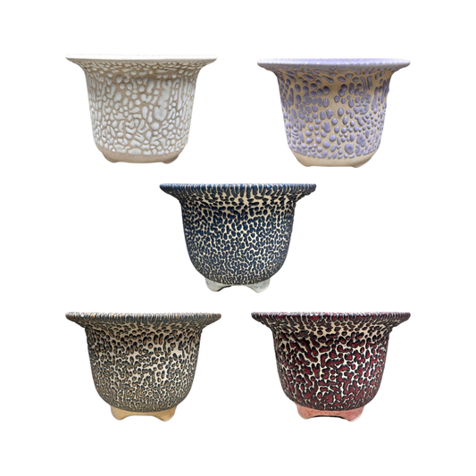 Trumpet Mouth Short Pots 5.8x4 inches