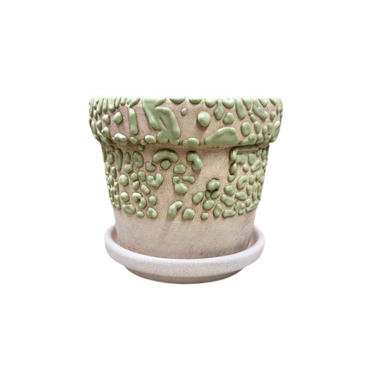Edge Pot with Catch Plate and 2-Tone Pot 4"x3.5"
