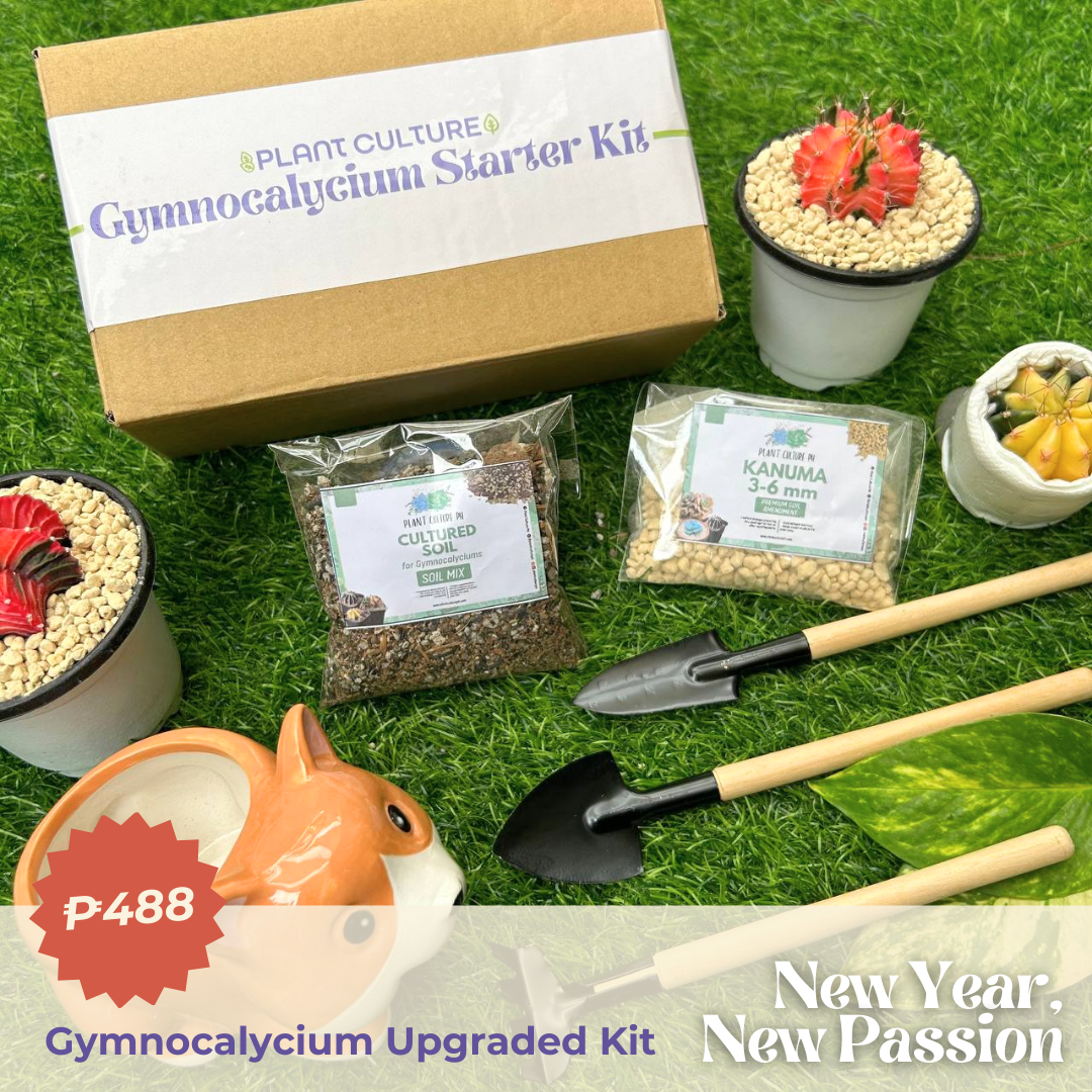 Gymnocalycium Upgraded Kit