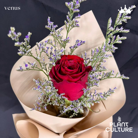 Venus Fresh Red Rose Imported Flower Bouquet 1pc