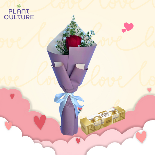 Venus Red Rose Bouquet + Ferrero T5