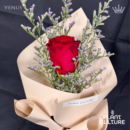Venus Fresh Red Rose Imported Flower Bouquet 1pc