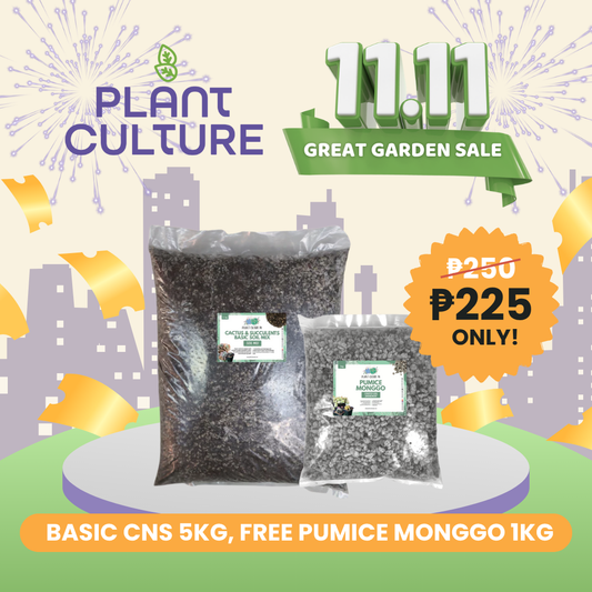 Bundle - All-in-One Soil Mix | 5Kg Basic CNS Free + 1Kg Pumice Monggo