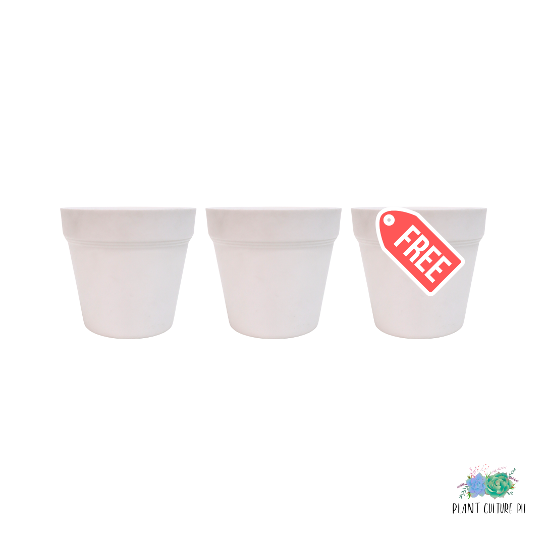 Buy 2 Heavy Duty Planters | Plastic Pots Get 1 Free