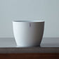 Plant Culture Urban Planter – B Series Classic Curve pot w/ Catch plate for Plants