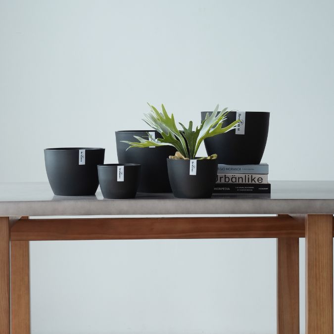 Plant Culture Urban Planter – B Series Classic Curve pot w/ Catch plate for Plants