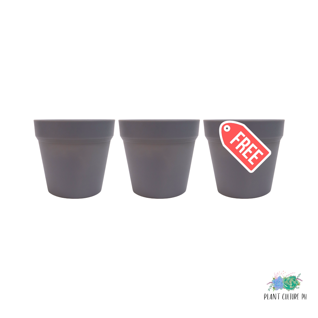 Buy 2 Heavy Duty Planters | Plastic Pots Get 1 Free