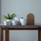 Plant Culture Urban Planter – B Series Classic Curve pot w/ Catch plate for Plants