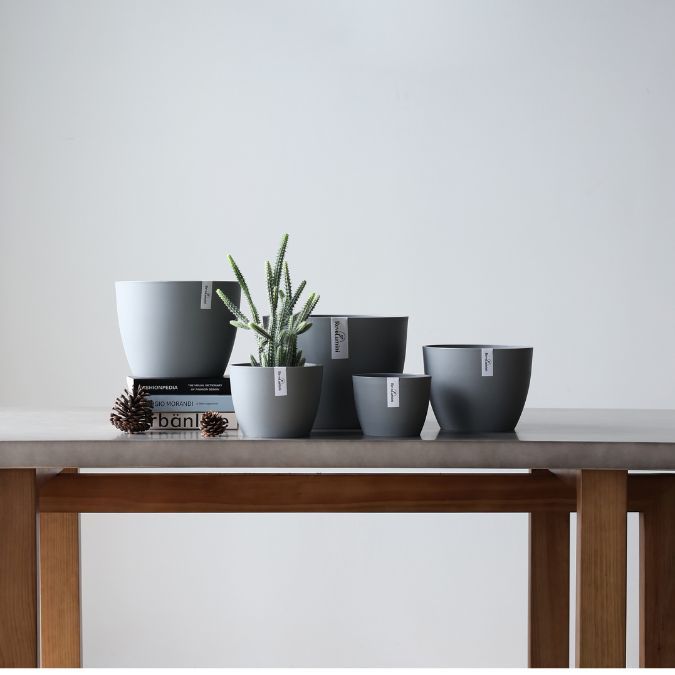 Plant Culture Urban Planter – B Series Classic Curve pot w/ Catch plate for Plants