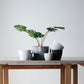 Plant Culture Urban Planter – B Series Classic Curve pot w/ Catch plate for Plants