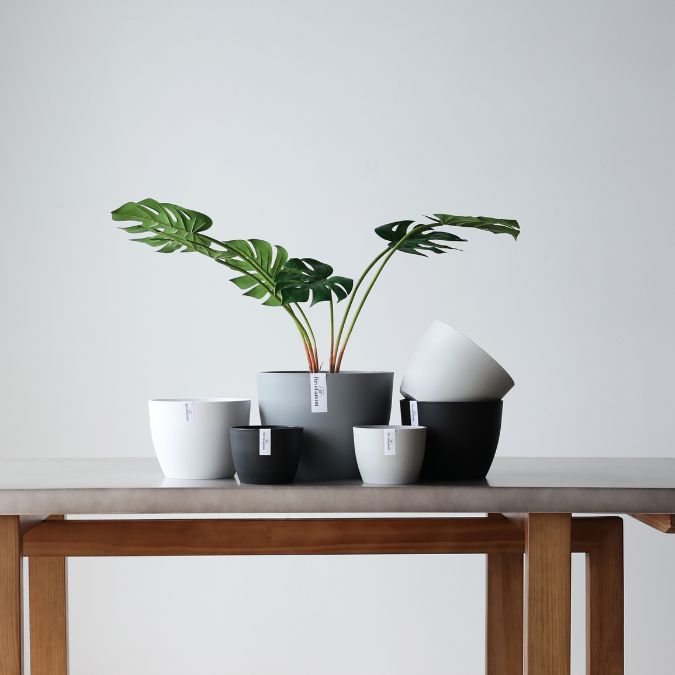 Plant Culture Urban Planter – B Series Classic Curve pot w/ Catch plate for Plants
