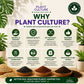 Plant Culture Basic Potting Mix Bundle | Cocopeat CRH Vermicast Fresh Ipa Soil Mix Set