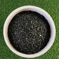 Black Sand  by Plant Culture PH
