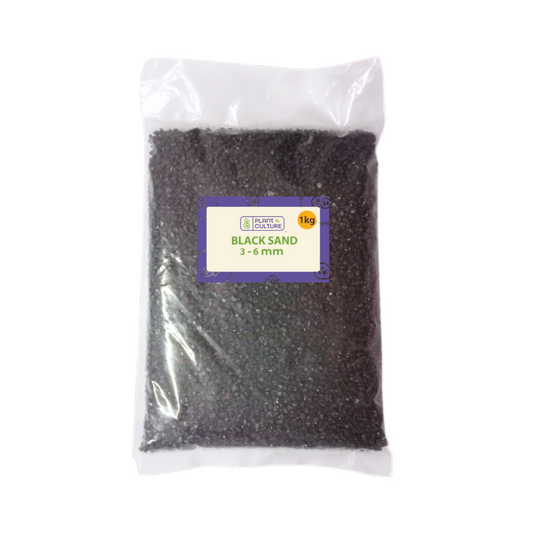Black Sand  by Plant Culture PH