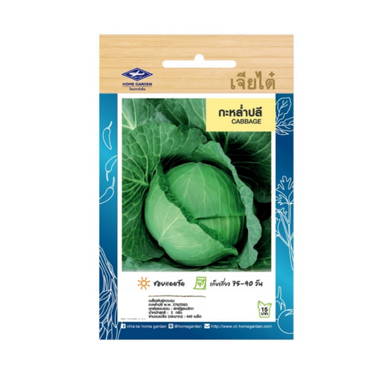 Home Garden Seeds Cabbage (Approx 440 Seeds) 2gms