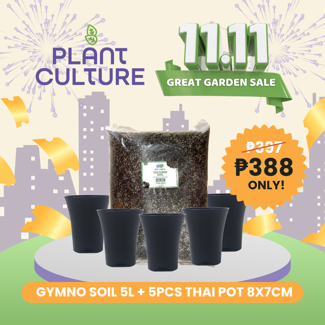 Bundle -  Cactus & Succulent Growing Set | 5L Gymno Soil + 5pcs 8x7cm Thai Pot