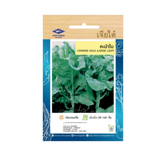 Home Garden Seeds Chinese Kale  (Approx 2260 Seeds) 10gms