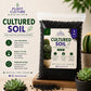Plant Culture Cultured Soil CnS Mix 1kg | 3kg | 5kg  Premium Cactus & Succulent Blend