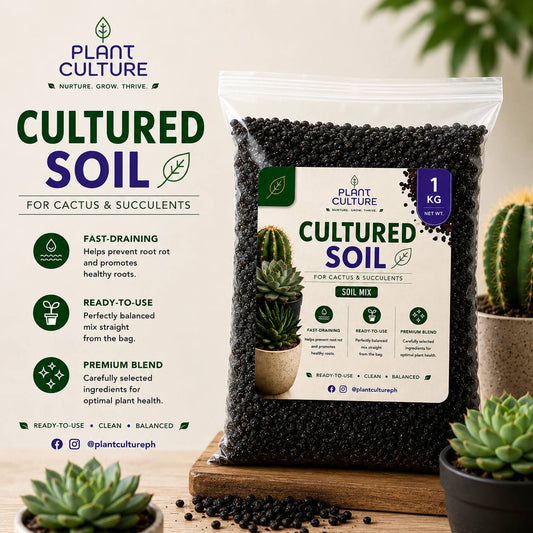 Plant Culture Cultured Soil CnS Mix 1kg | 3kg | 5kg  Premium Cactus & Succulent Blend