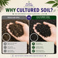 Plant Culture Cultured Soil CnS Mix 1kg | 3kg | 5kg  Premium Cactus & Succulent Blend
