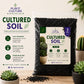 Plant Culture Cultured Soil CnS Mix 1kg | 3kg | 5kg  Premium Cactus & Succulent Blend