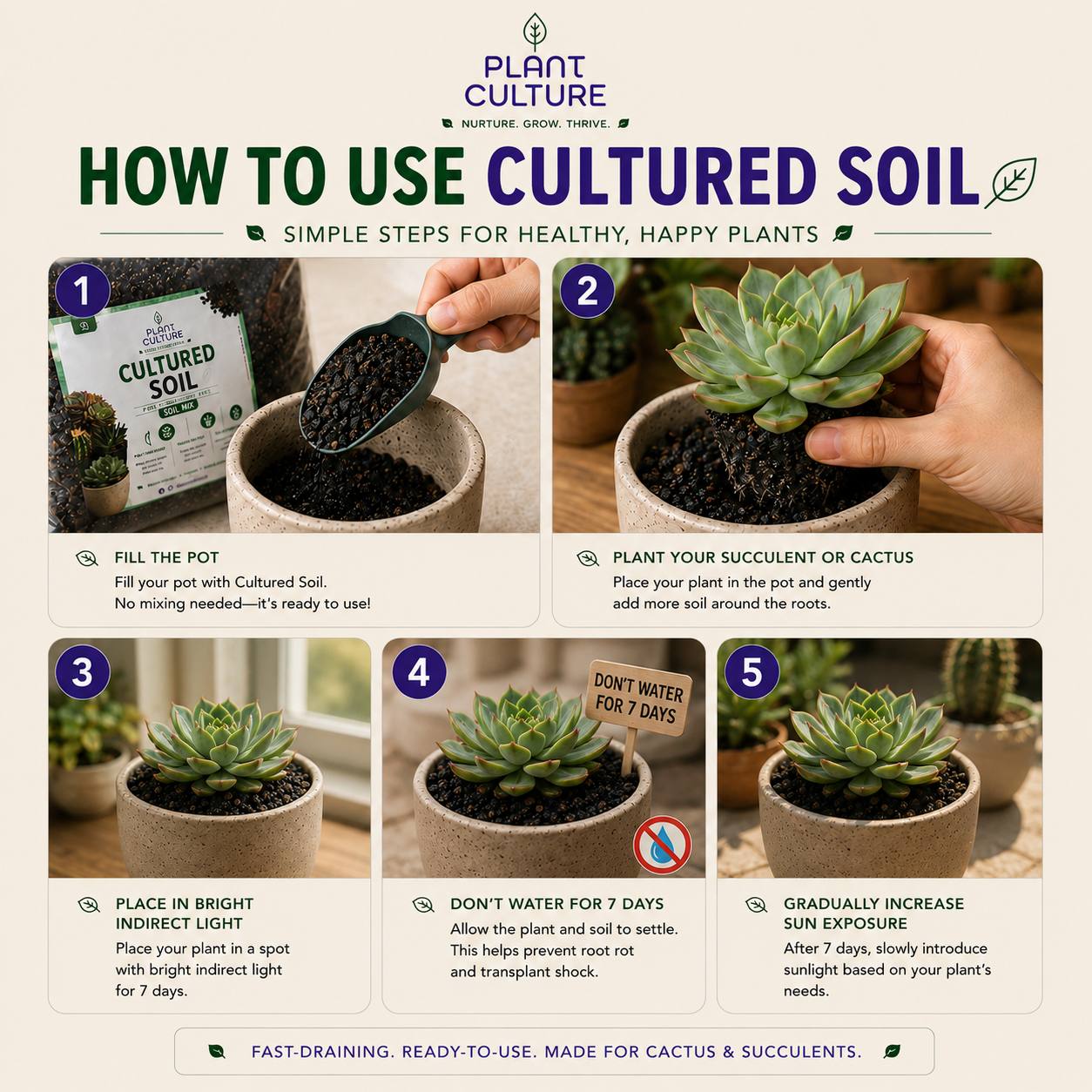 Plant Culture Cultured Soil CnS Mix 1kg | 3kg | 5kg  Premium Cactus & Succulent Blend