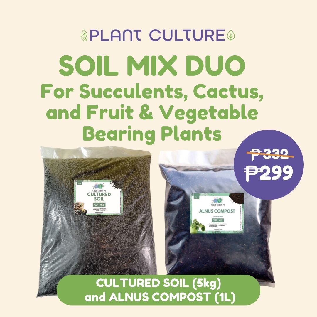 Soil Mix Duo II Cultured Soil for Cactus and Succulent Mix 5kg & Alnus 1L