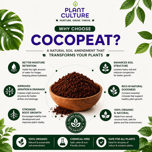 Plant Culture Cocopeat 1L | Organic Coconut Peat Soil Amendment for Seedlings & Propagation