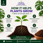 Plant Culture Cocopeat 1L | Organic Coconut Peat Soil Amendment for Seedlings & Propagation
