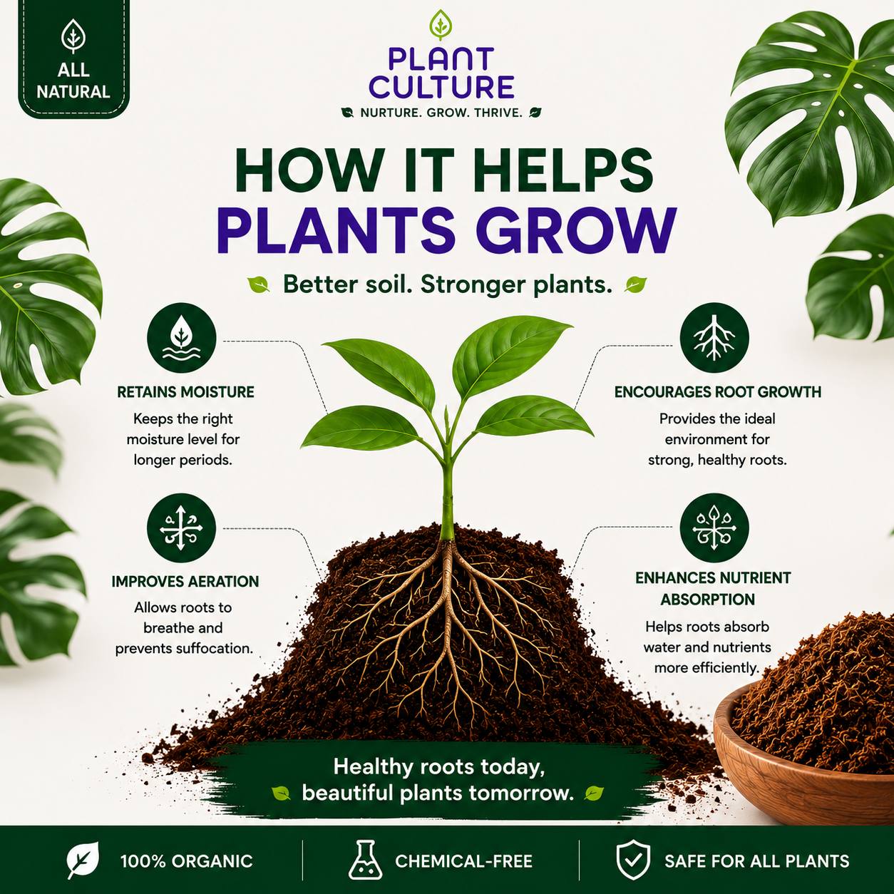 Plant Culture Cocopeat 1L | Organic Coconut Peat Soil Amendment for Seedlings & Propagation
