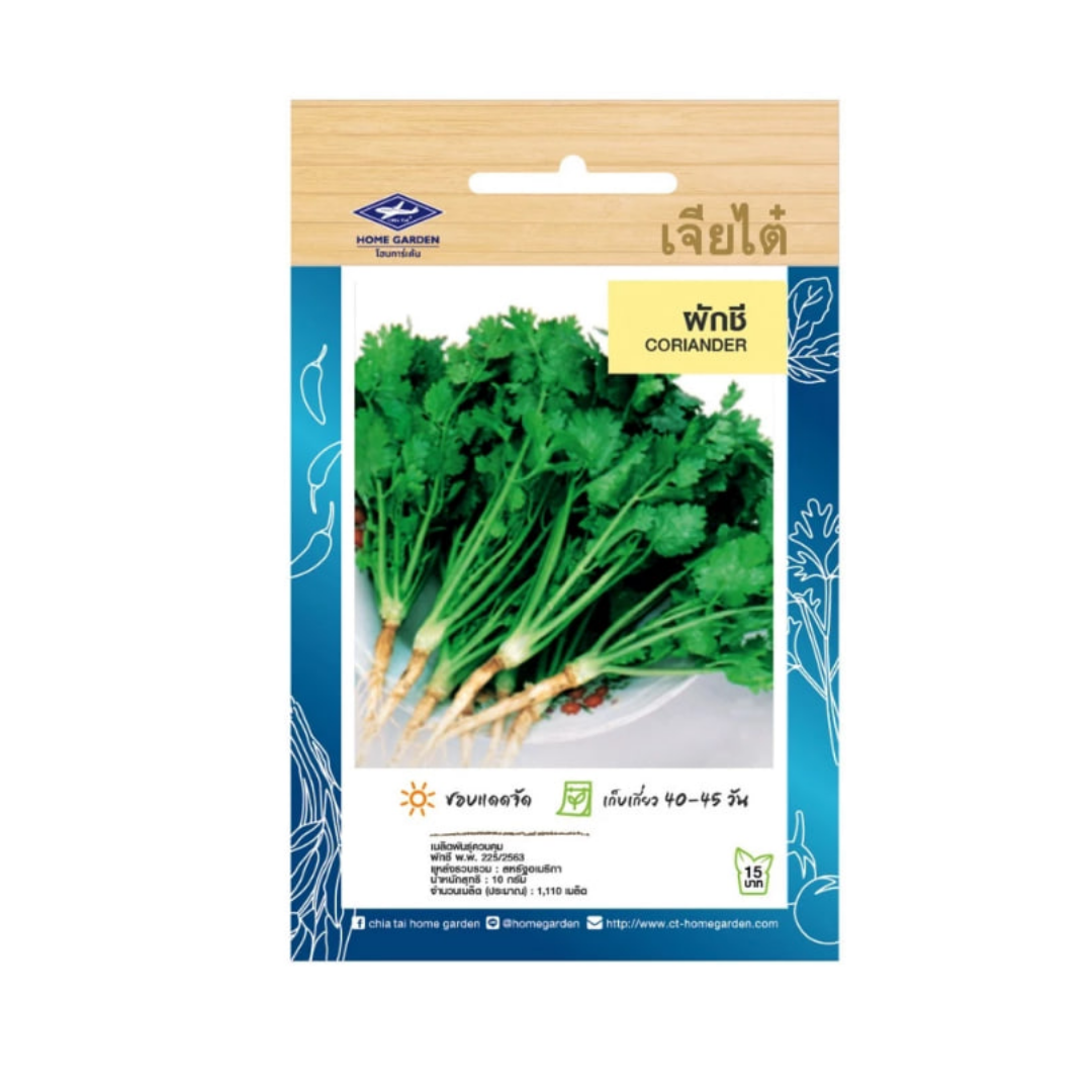 Home Garden Seeds Coriander (Approx 1100 Seeds) 10gms