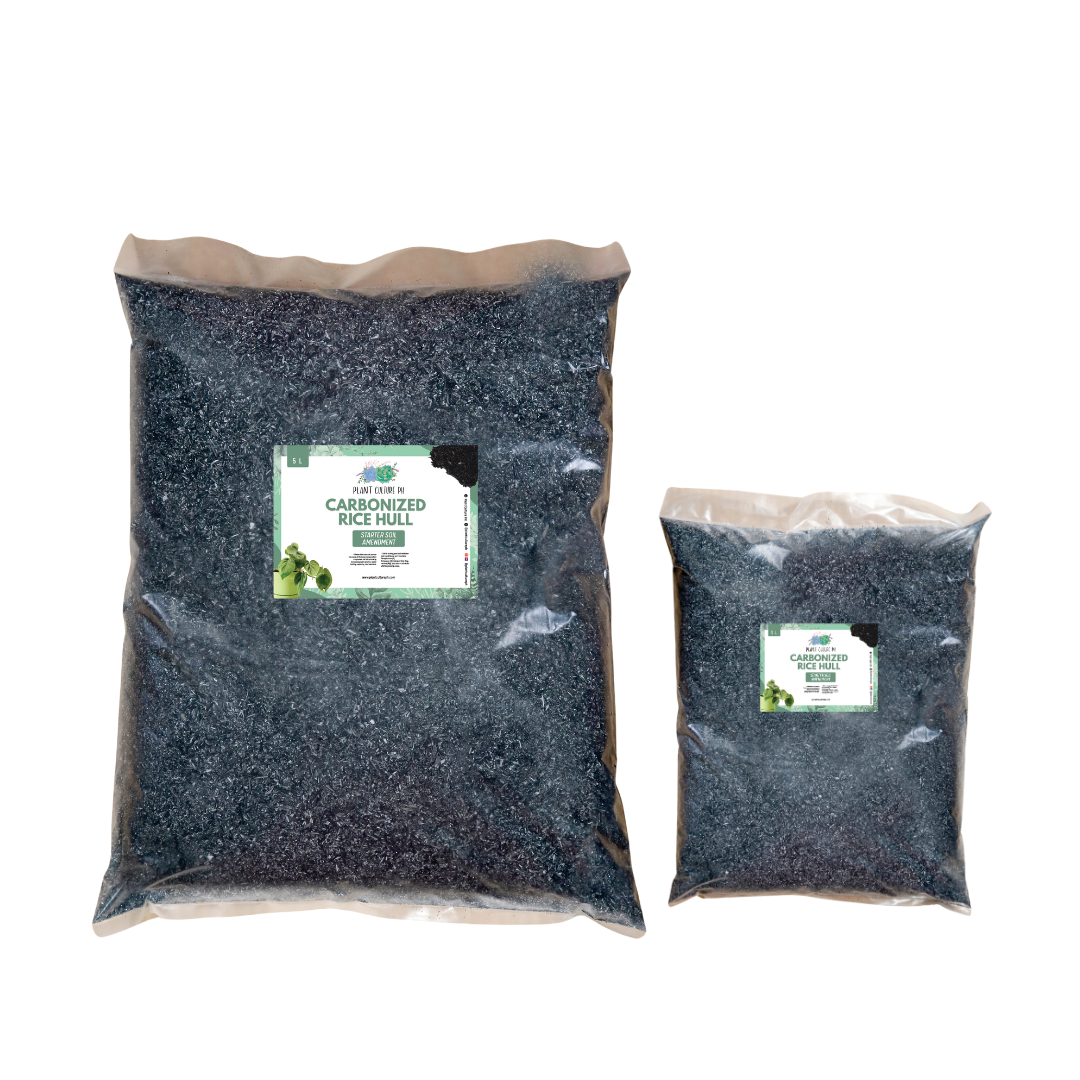Carbonized Rice Hull (Crh) I Starter Soil Amendment For Plants, Houseplants, Cactus, Succulents